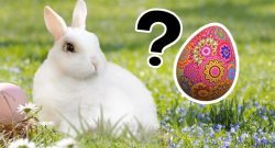 easter eggs umfrage header