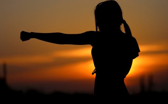 Rainbow Six Aruni Titel Karate Faust