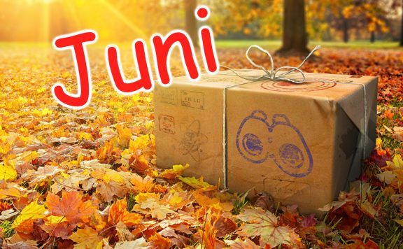 Feldforschungen Juni