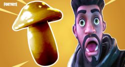 Fortnite seltener pilz titel