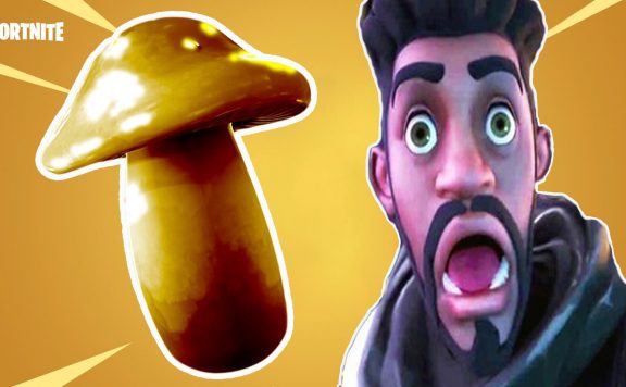 Fortnite seltener pilz titel