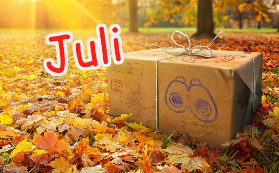 Feldforschungen Juli