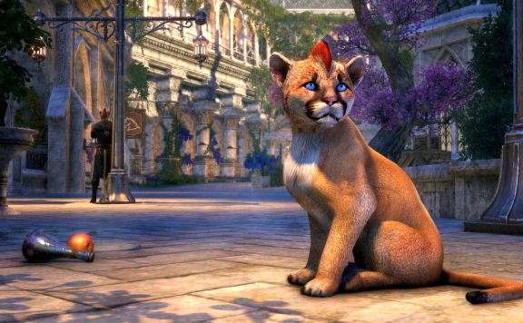 eso baby raz titel 01