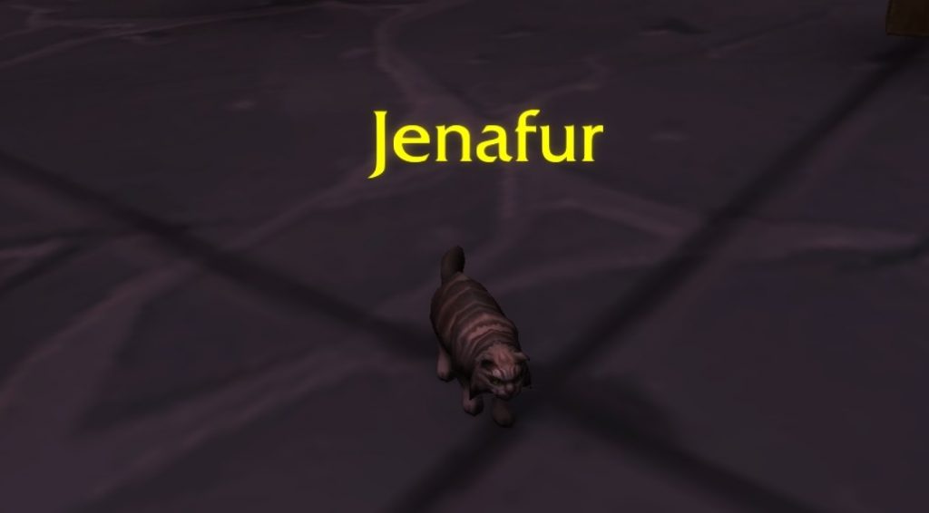 Jenafur on floor
