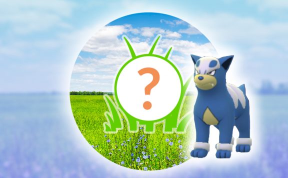Pokémon GO Hunduster Rampenlicht Titel