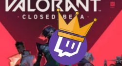 Valorant Twitch