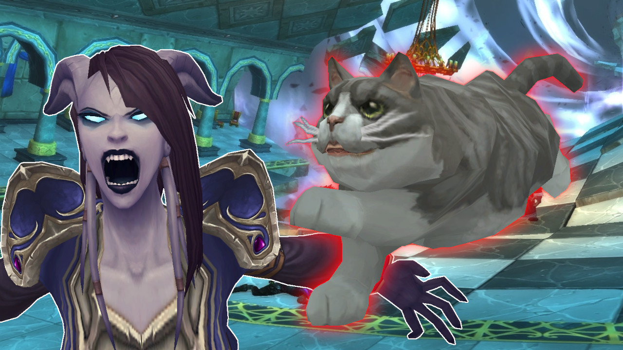 WoW: Seit einem Jahr verzweifeln Spieler an diesem Katzen-Rätsel