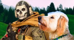cod warzone hund sammelt kills titel