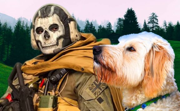 cod warzone hund sammelt kills titel