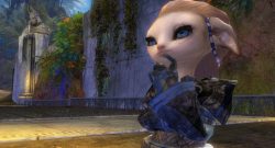 Guild Wars 2 Asura Glenna Thinking