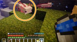 Minecraft Axolotl Titel