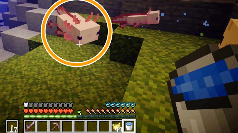 Minecraft lässt im Sommer die Axolotl frei – So helfen sie euch im Kampf