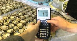 doom kartoffeln titel 01