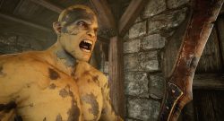 Mortal Online 2 Krieger