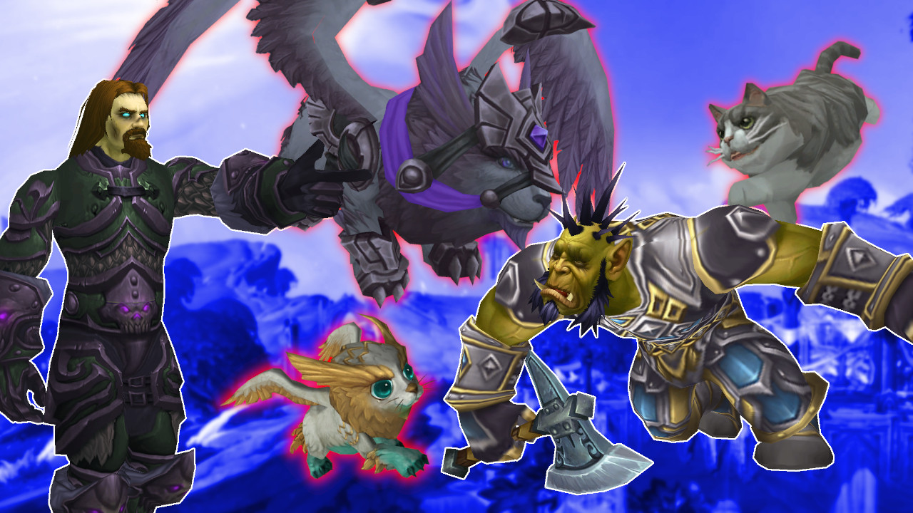 WoW Death Knight Cat Lation titel title 1280x720