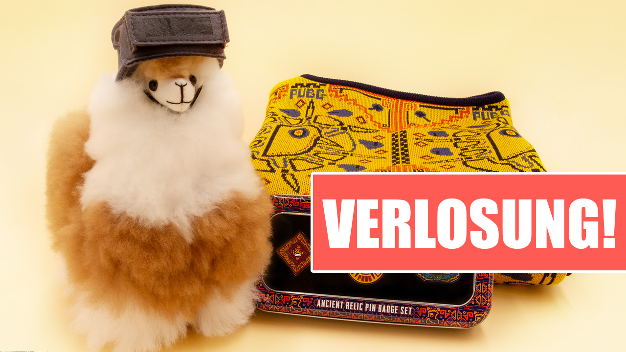 Flauschige Alpakas suchen ein Zuhause – Gewinnt hier SWAG-Pakete von PUBG