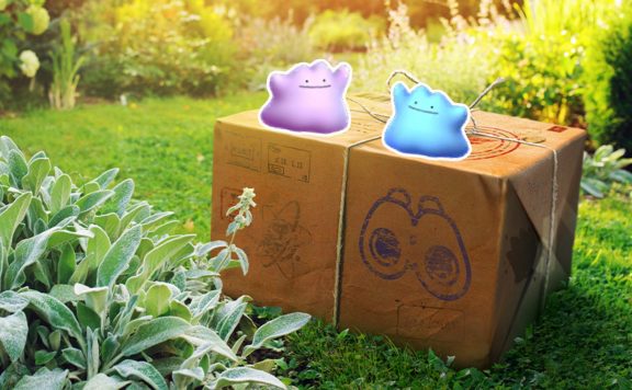 Shiny Ditto Pokemon GO