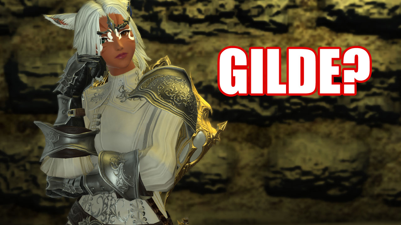 Erzählt mal: Was macht für euch eine gute Gilde in MMORPGs aus?