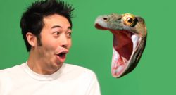 pogchamp komodohype emote header
