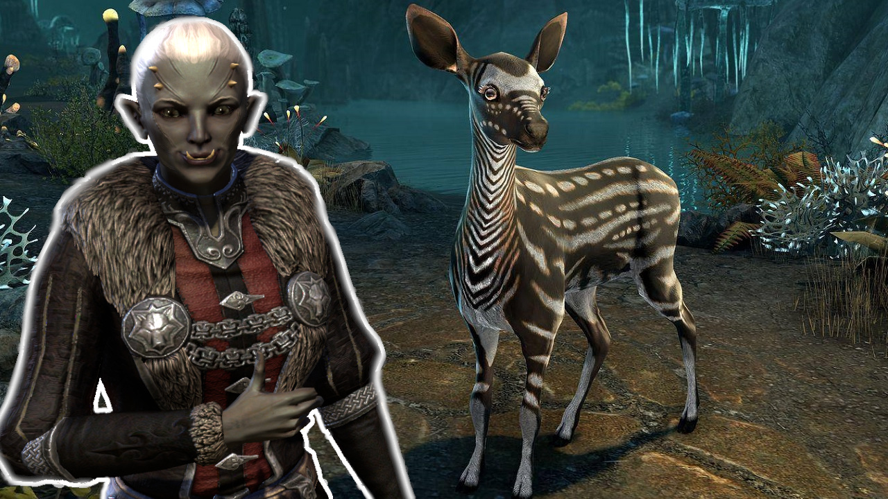 ESO kündigt neues Event an – Schenkt euch ein süßes Pet und endlose Respecs