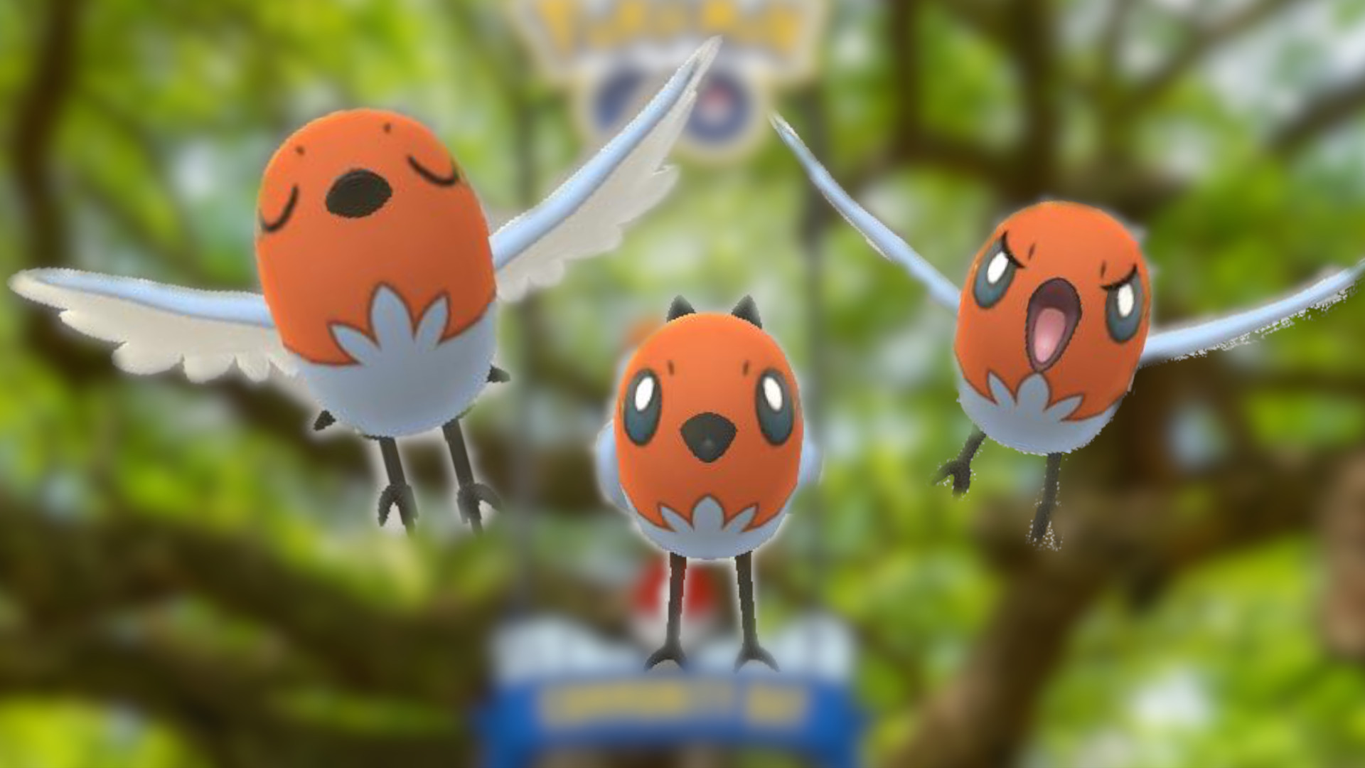 Pokémon GO: „Der frühe Vogel“ mit Dartiri für 1 € – Was steckt drin?