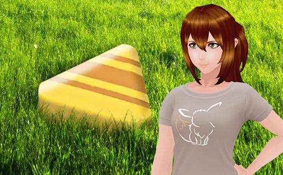 Pokémon GO XL Bonbons Titel Frau