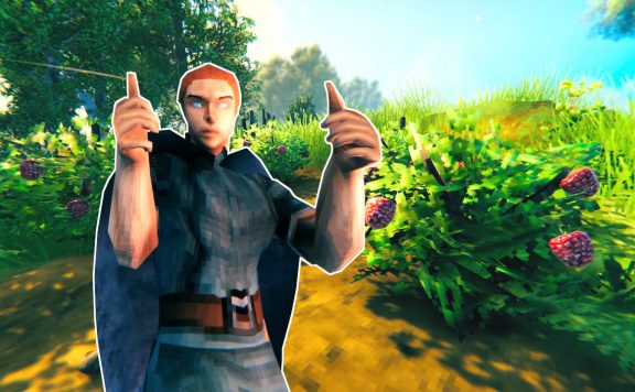 Valheim Himbeeren farmen Titel