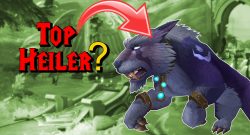 WoW Druid Cat Top Heiler titel title 1280x720