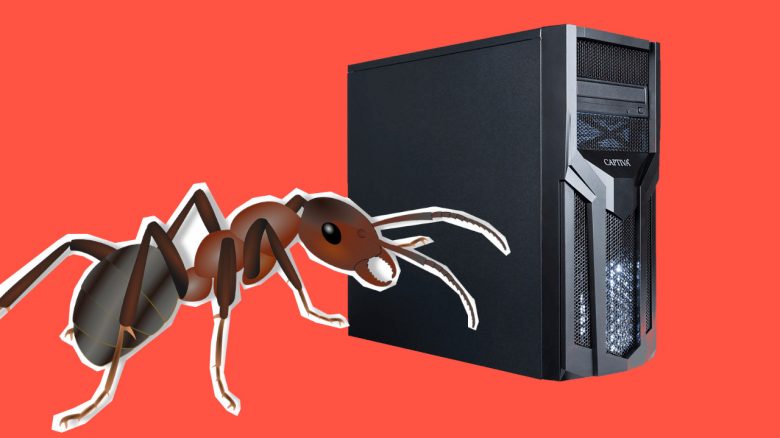 Spieler kämpft mit Ameisenplage in seinem Gaming-PC – Darum ist es so kompliziert sie loszuwerden