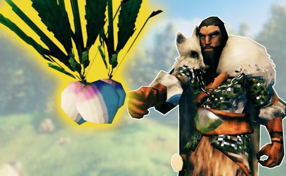 Valheim Rüben Werbung Titel