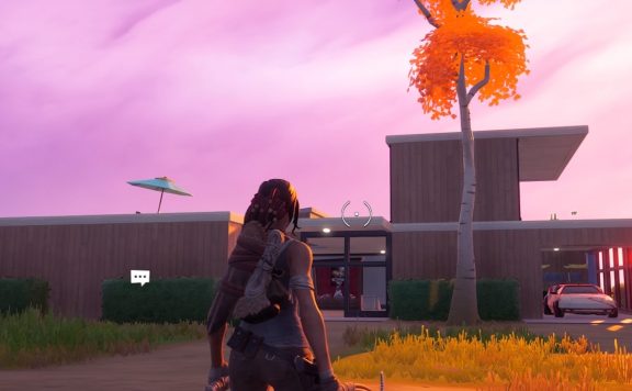 fortnite fancy view titel