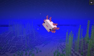 Minecraft: Axolotl zähmen - Futter und Nutzen