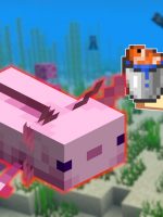 Spieler wollen Axolotl in Minecraft zähmen – So fangt ihr sie