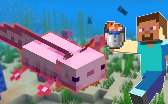 Minecraft Axolotl titel title 1280x720