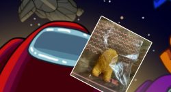 chicken-nugget-titel03