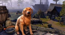 eso-hunde-bug-titel-01