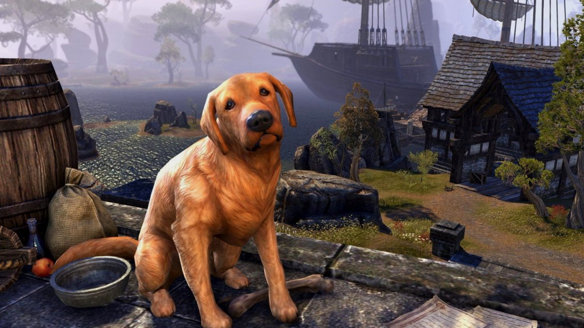 ESO: Curious bug suddenly turns players into dogs and thousands celebrate the “error”