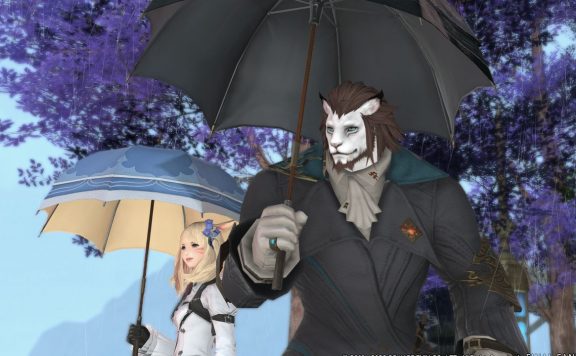 ffxiv accessoire guide header