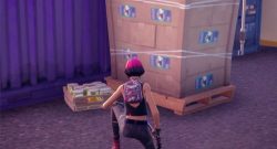 fortnite katzenfutter titel