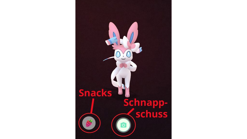 Pokémon GO - Erklärung Kumpel