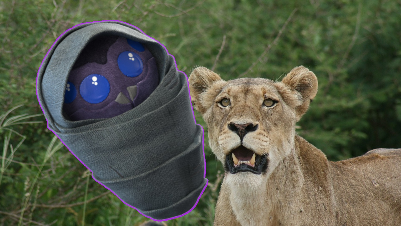 How The Lion King Meets Alien Baby: Players Love the Cutest Emote of the Destiny Universe