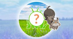 Pokémon-GO-Raffel-Rampenlicht-Titel