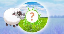 Pokémon-GO-Wolly-Rampenlicht-Titel