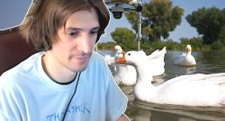 Twitch xQc füttert Enten auch wenns Gänse im Bild sind Titel