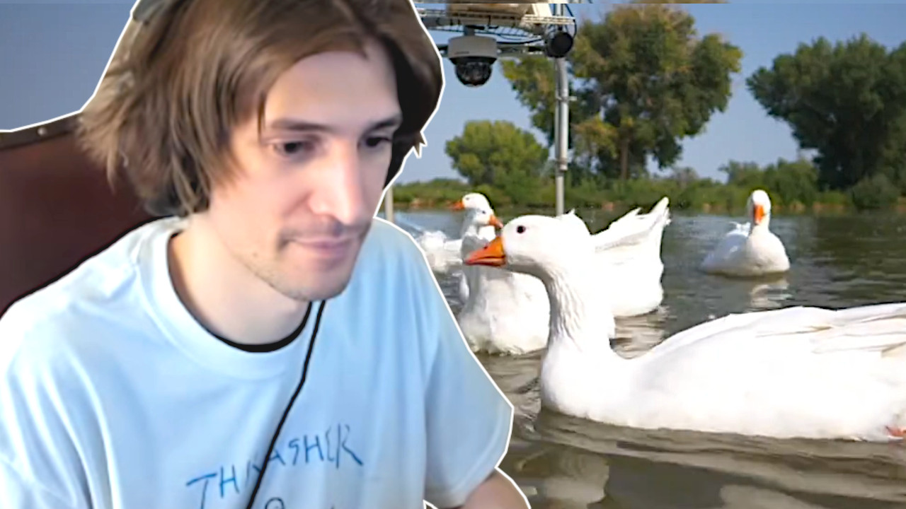 Der größte Schurke auf Twitch füttert glückselig Enten – Zehntausende schauen ihm zu