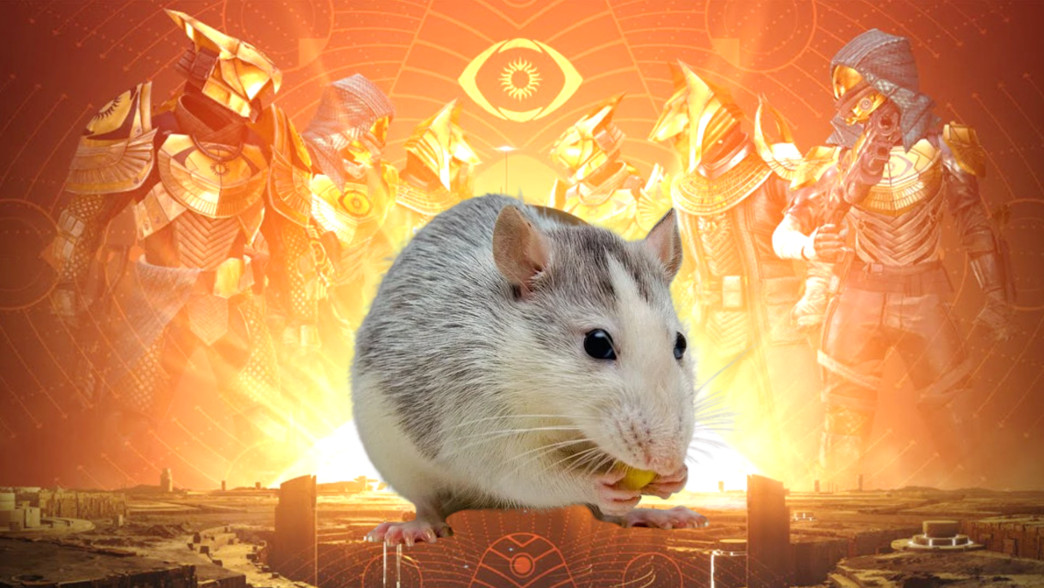 Destiny 2 macht euch zu Laborratten – Das kommt im neuen Trials-Experiment