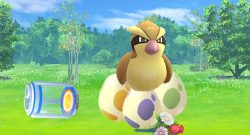Pokemon-Go-Ausbrueten-Eier