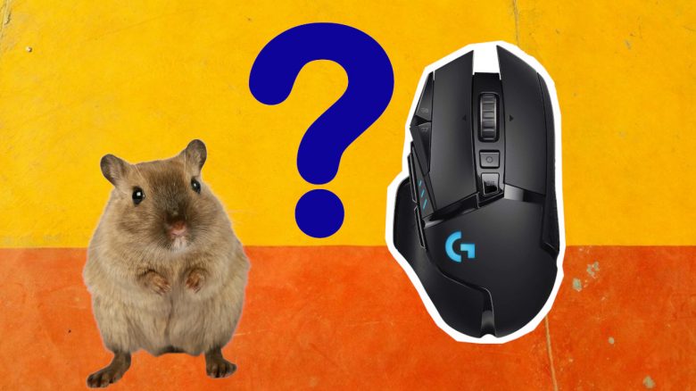 Warum heißt eine Maus für den PC eigentlich Maus?
