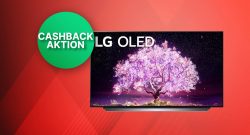 LG Cashback Aktion: OLED C1 4K TV im Angebot kaufen