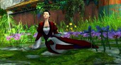 Guild Wars 2 Shing Jea